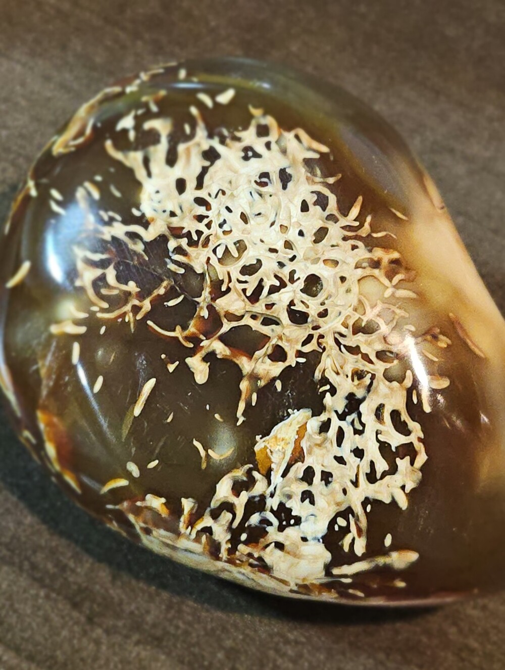 Script Jasper / Calligraphy Stone Palm Stone | Polished Organic Specimen